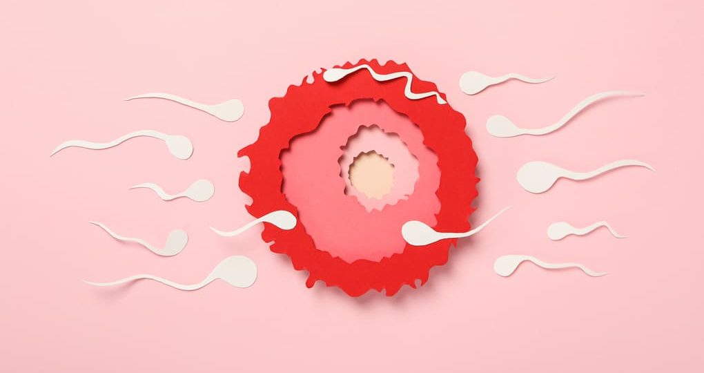 Síntomas de implantación del óvulo: consejos para personas de Colombia